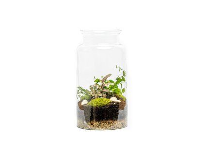 Skleněná váza DIGITALIS se zúženým otvorem - výška 35 cm, průměr 19 cm - osázené vlhkomilně