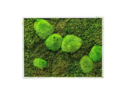 Mechový obraz 30x40 cm kombinovaný mech kopečkový s plochým, bílá