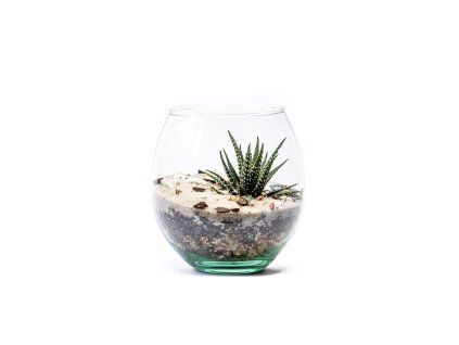 Skleněná váza boule, průměr 13 cm - osázené suchomilně