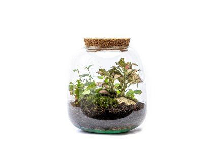 Skleněná dóza MOLINIA s korkovým špuntem, 20x19 cm - osázené vlhkomilně