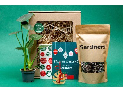 Vánoční dárková sada - Set Monstera deliciosa a substrát
