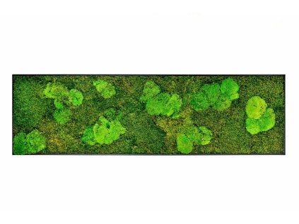 Mechový obraz 140x40 cm kombinovaný mech kopečkový s plochým, černá