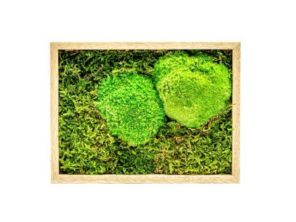 Mechový obraz 13x18 cm kombinovaný mech kopečkový s plochým, přírodní