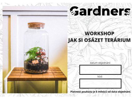 Workshop – Jak si osázet terárium