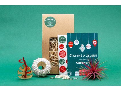 Vánoční dárková sada - Medusa "Vyrob si sám" SPUTNIK s Tillandsií Ionantha red