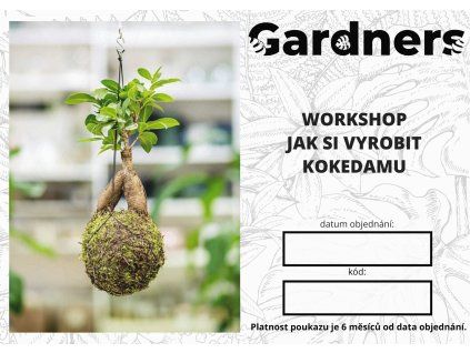 Workshop – Jak si vyrobit kokedamu (flexibilní termín)
